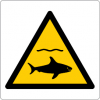 Sinal para parques aquáticos, piscinas e praias, perigo, zona com tubarões