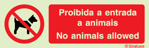 Sinal para parques aquáticos e piscinas, proibição, Proibida a entrada a animais | No animals allowed